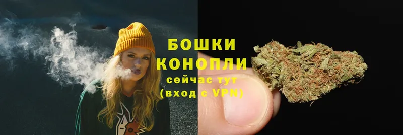 где продают наркотики  Старая Русса  Канабис LSD WEED 